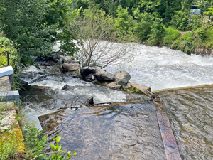 Laufwasserkraftwerk