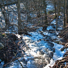 Scherbach