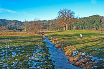 Scherbach