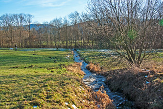 Scherbach