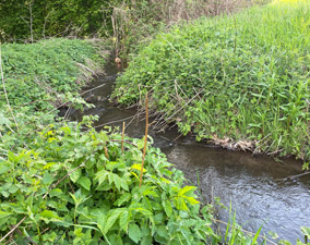 Scherbach