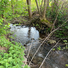 Scherbach