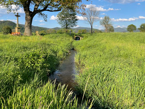 Scherbach