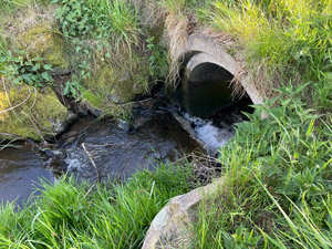 Scherbach