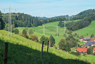 Steurental