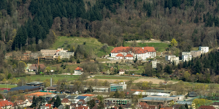 Freiburger Kartaus