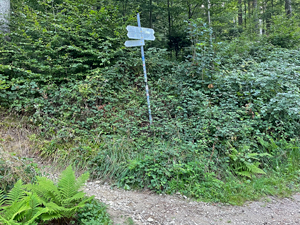 St.Ottilien-Roßkopf