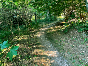 St.Ottilien-Roßkopf