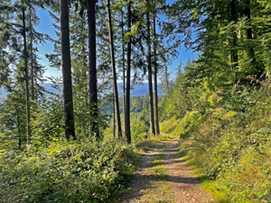 St.Ottilien-Roßkopf