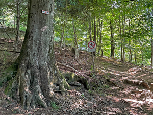 St.Ottilien-Roßkopf