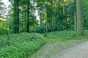 St.Ottilien-Roßkopf