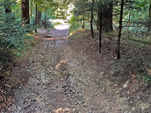 St.Ottilien-Roßkopf