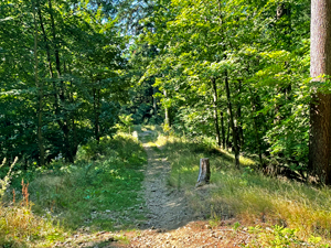 St.Ottilien-Roßkopf