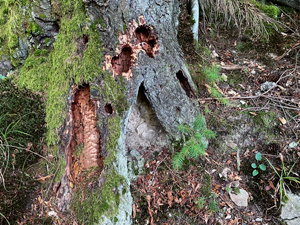 St.Ottilien-Roßkopf
