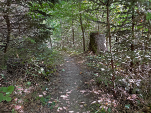 St.Ottilien-Roßkopf