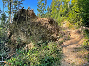 St.Ottilien-Roßkopf