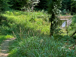 St.Ottilien-Roßkopf