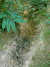 St.Ottilien-Roßkopf