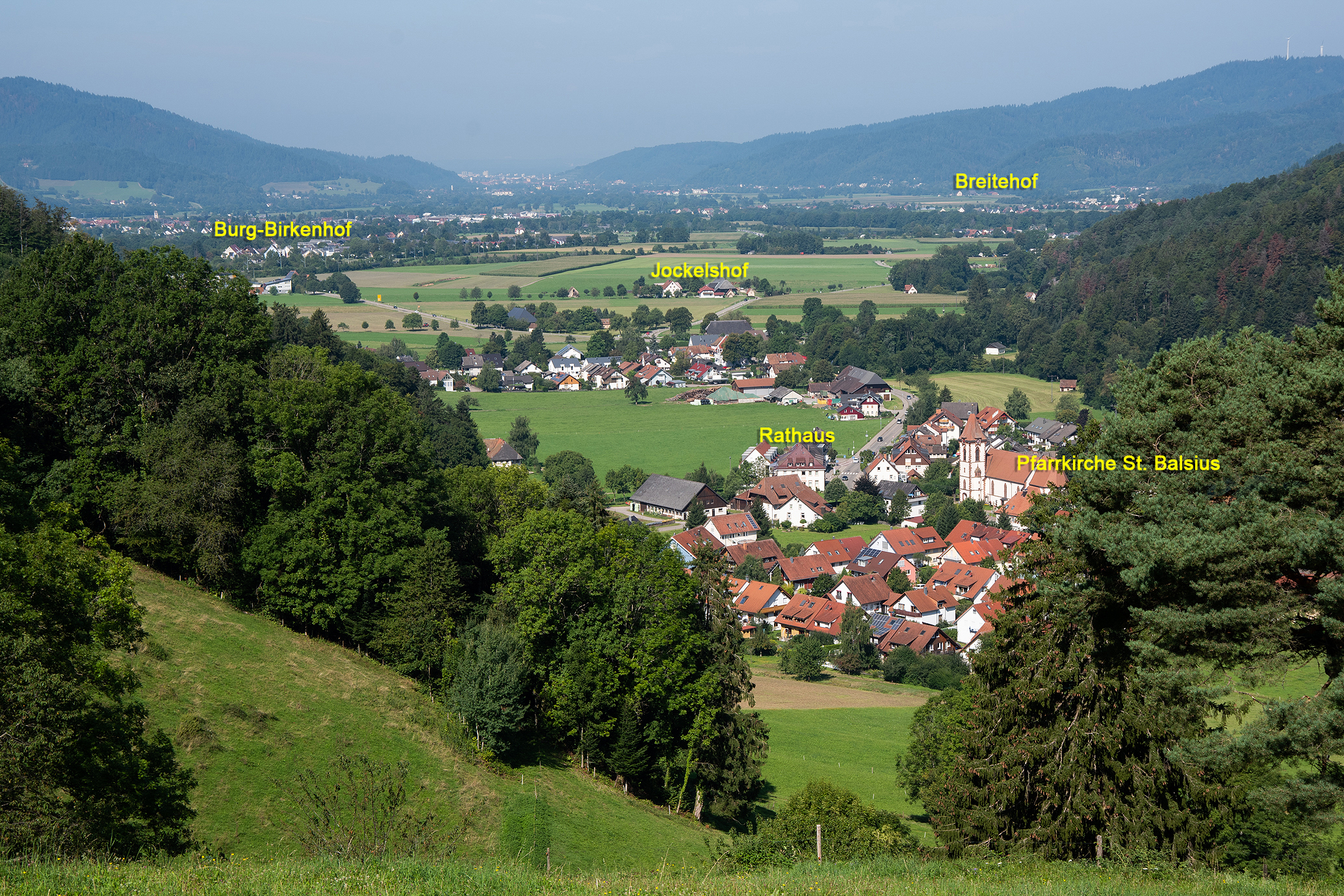 Buchenbach